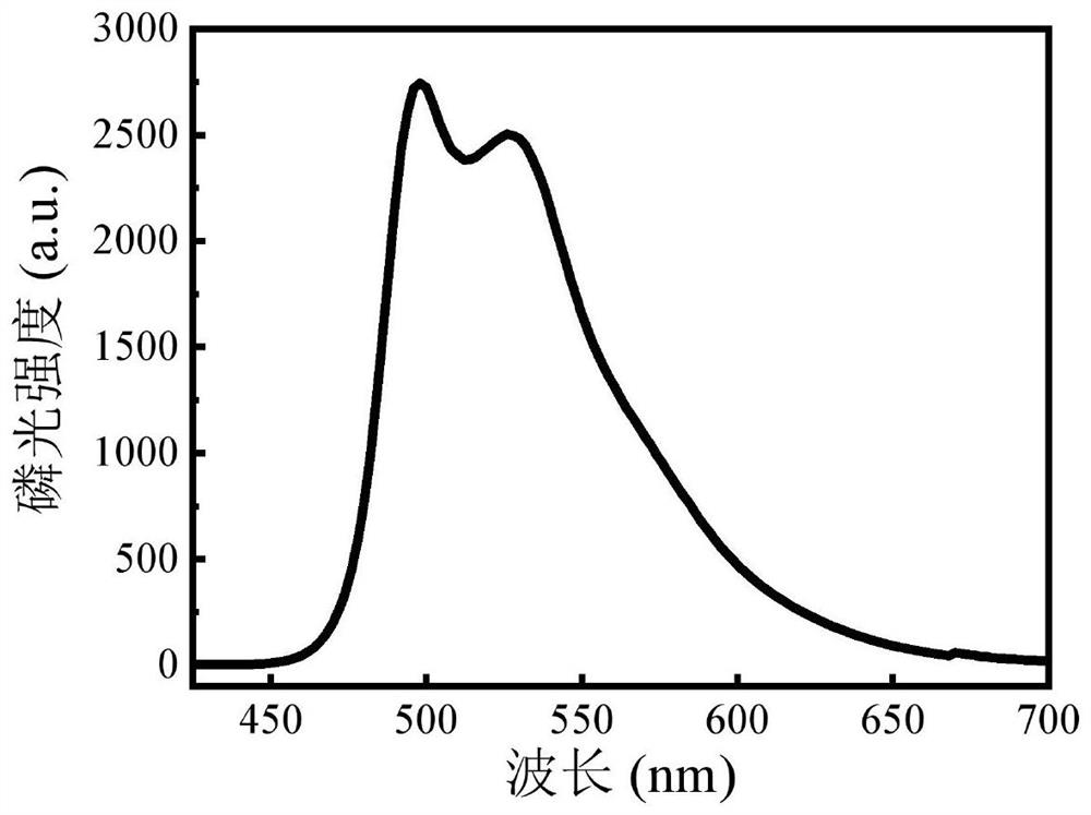 A kind of phosphorescent polymer material and its preparation method and application