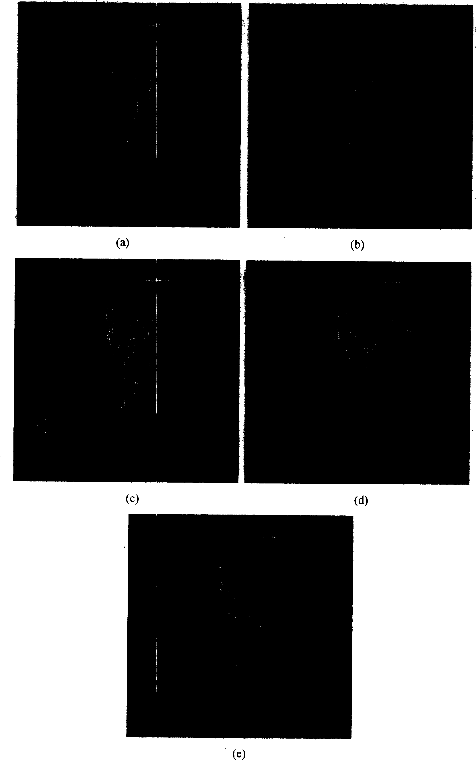 Image fusing method based on cosine modulating filter unit