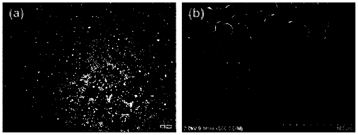 Inorganic-organic sun-screening agent composite microsphere and preparation method thereof