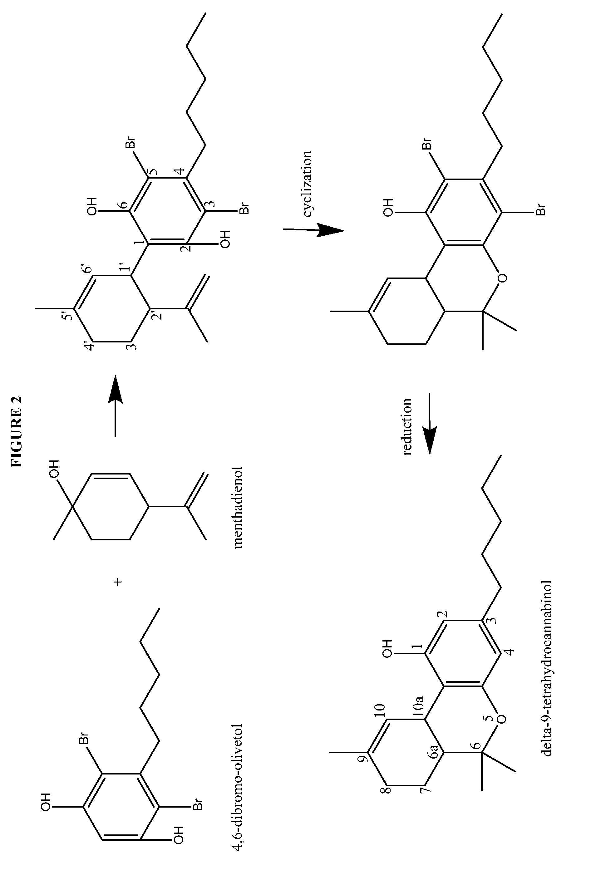 Process for the production of cannabidiol and delta-9-tetrahydrocannabinol