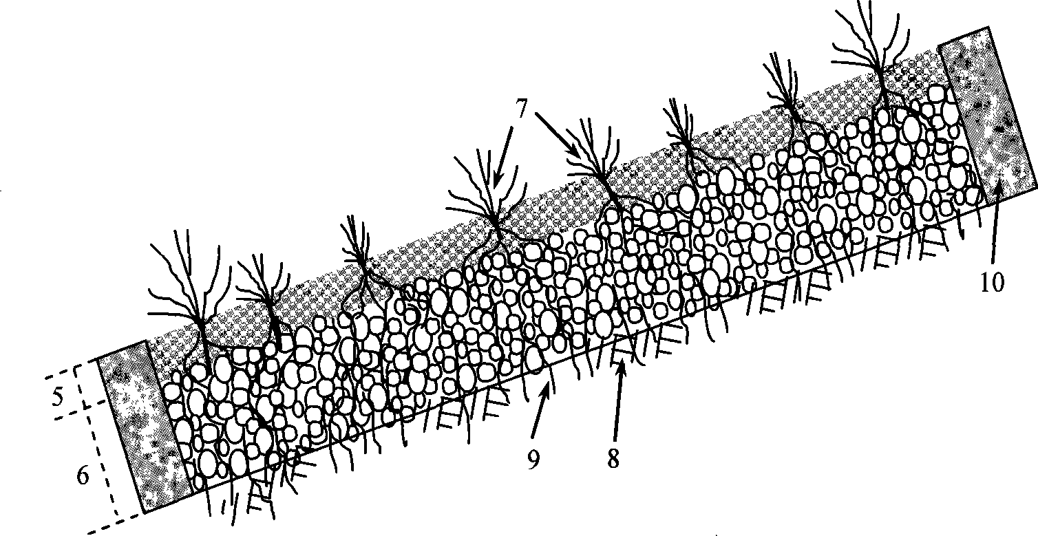 Cast-in-situ invert filter type pervious ecological concrete and method for constructing slope protection thereof