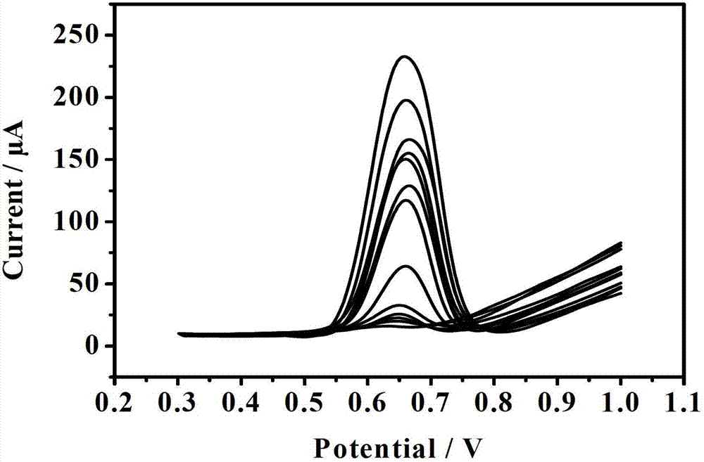 Method for detecting prohibited additive acid orange II in food