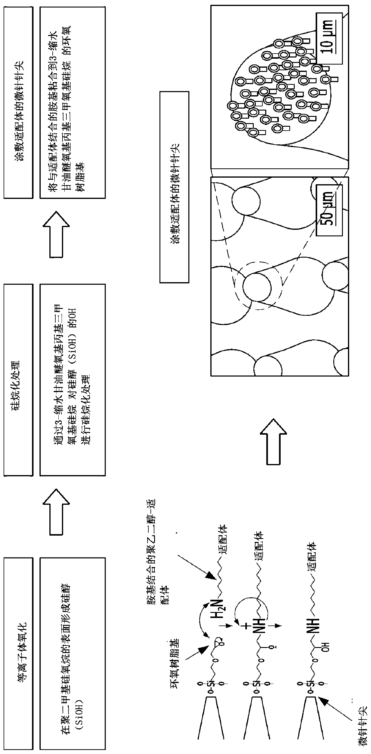 Method for fabricating microneedle-based diagnostic skin patch coated with aptamer and patch