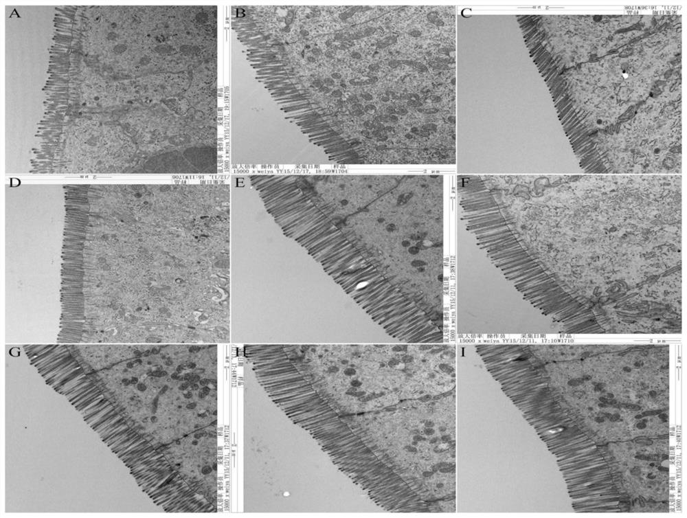 A formulated feed for improving intestinal barrier function of early-weaned piglets and its feeding method