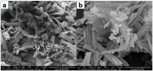 Method for rapidly preparing graphite phase carbon nitride nanorods without template