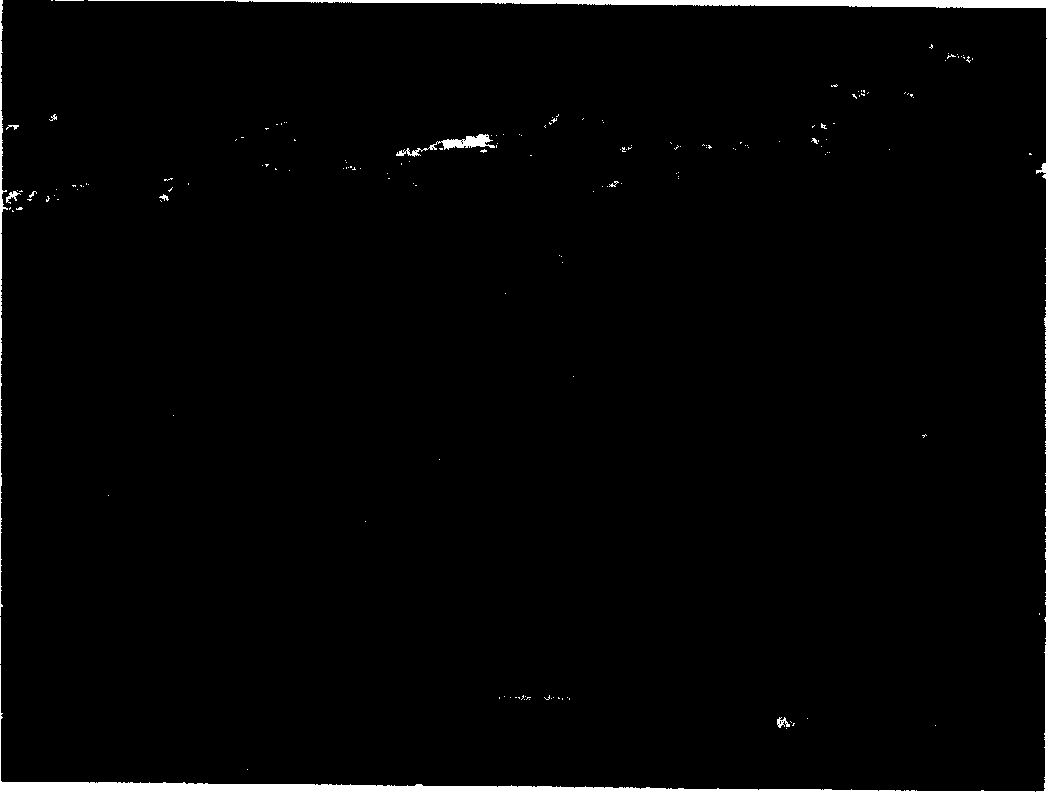 Quick preparation method of metal surface boronizing layer