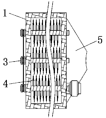 Biomass power generation device and method