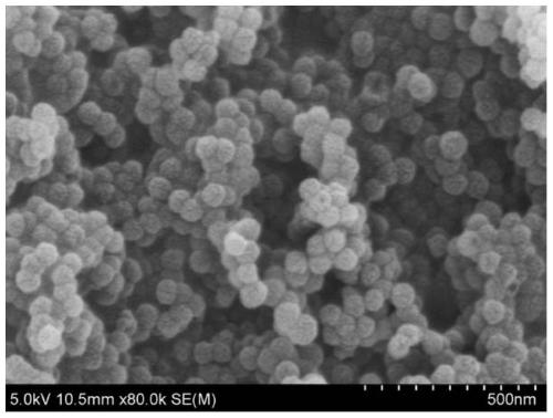 Nitrogen-oxygen co-doped hollow carbon nanospheres, preparation method and application thereof