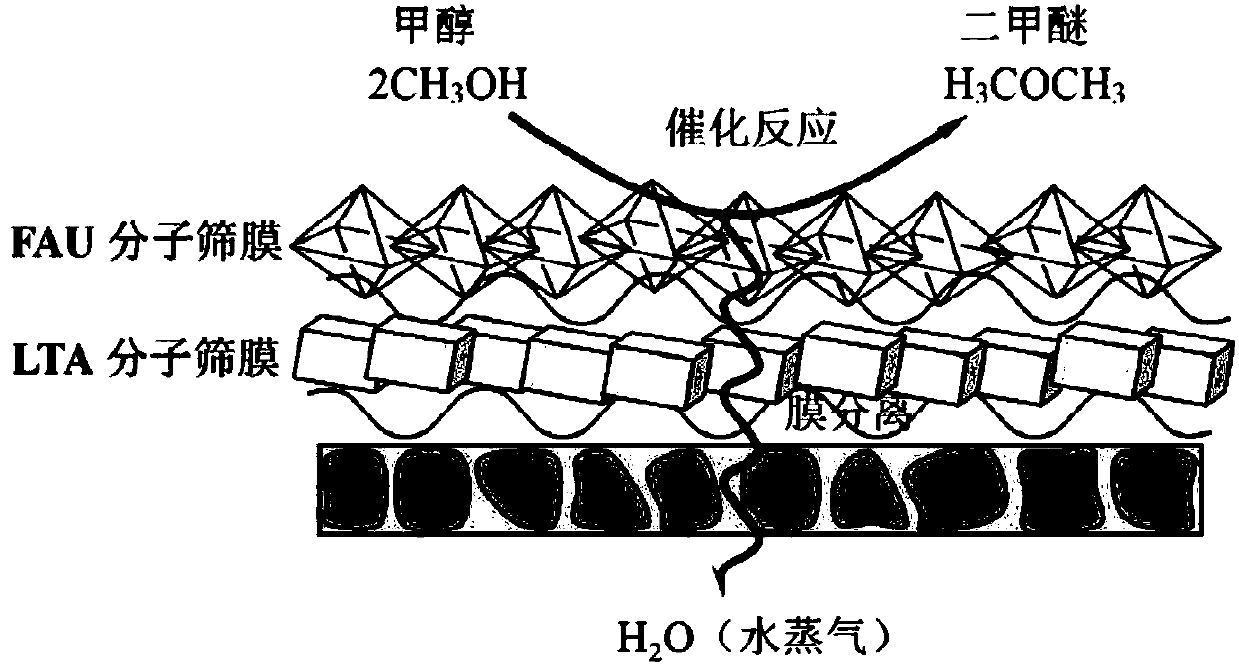 A kind of reaction separation bifunctional catalytic membrane reaction device for catalyzing methanol dehydration to prepare dimethyl ether and its application