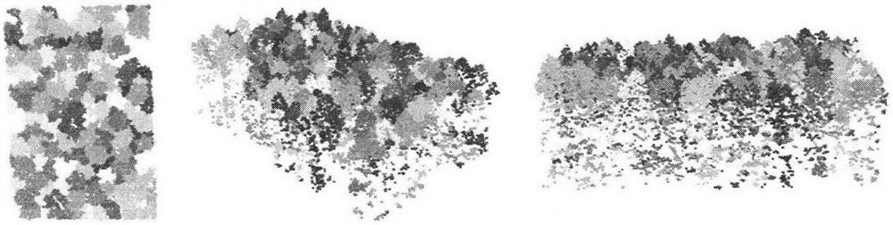 A single tree extraction method based on spectral clustering algorithm for lidar point cloud data