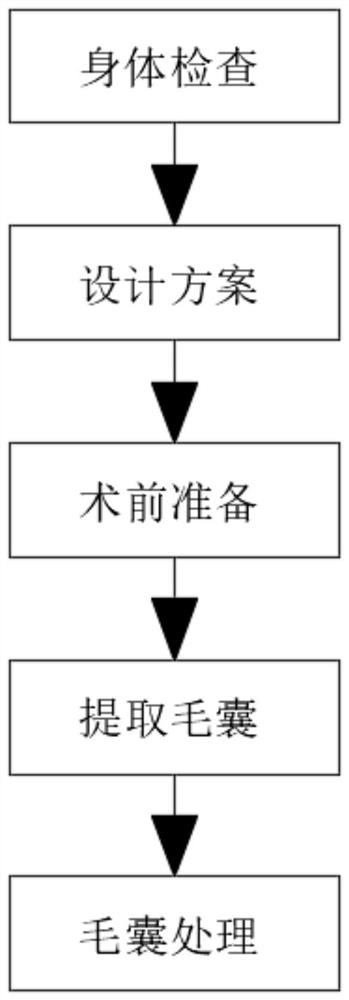 Novel hair follicle extraction method