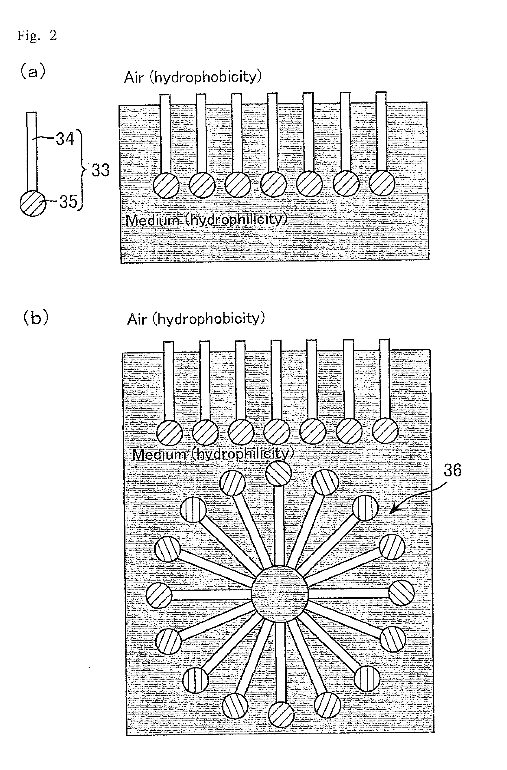 Composition for forming a liquid crystal alignment film, and liquid crystal display device