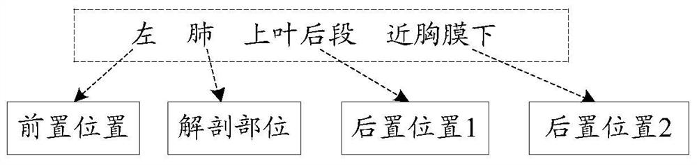 Structured processing method and system for medical examination data