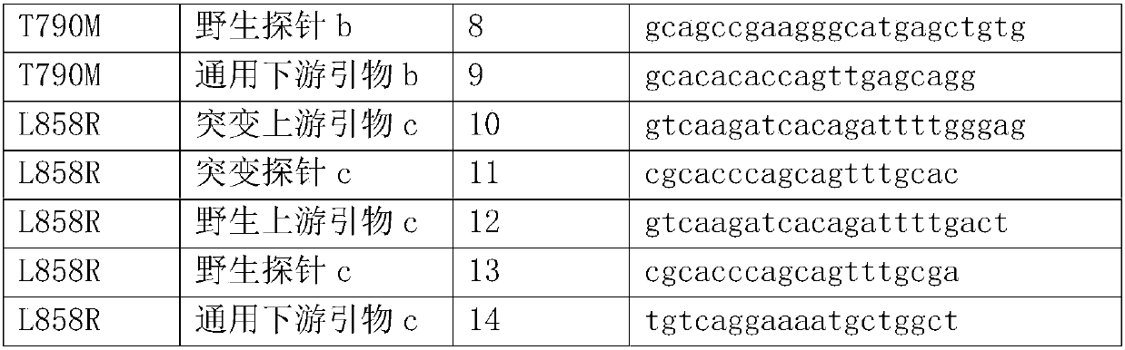 EGFR gene mutation detection primer probe and its kit