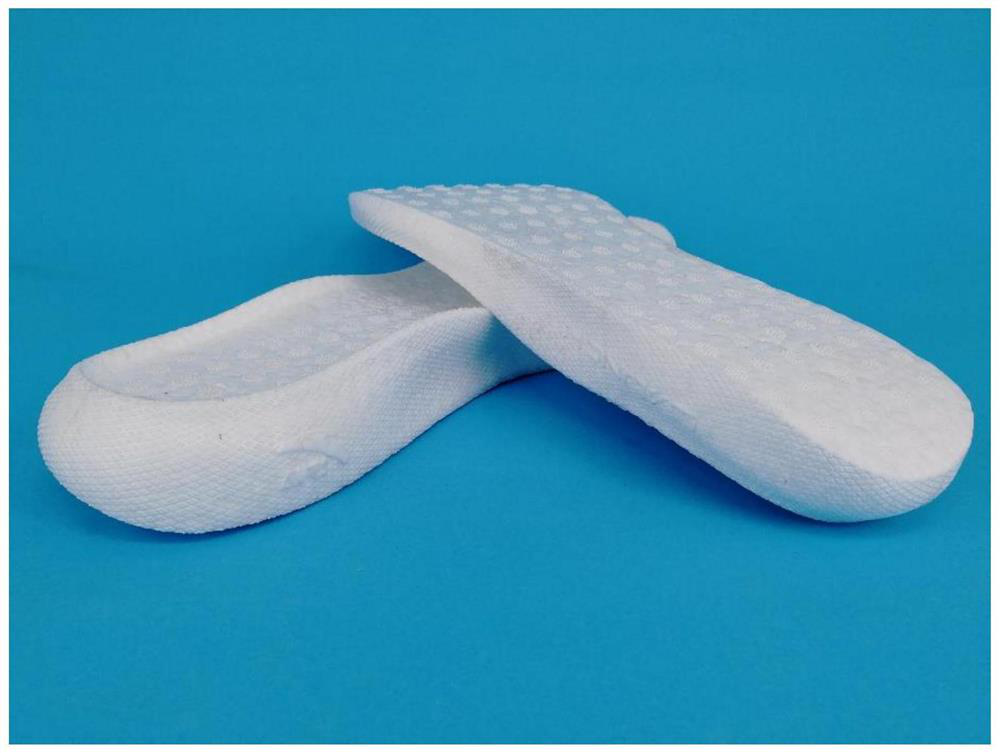 A kind of biodegradable foam shoe midsole material and preparation method thereof