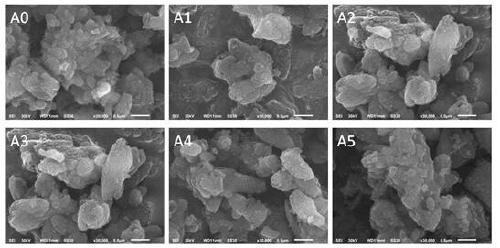 Green preparation method of high silica-alumina ratio hydrogenous molecular sieve