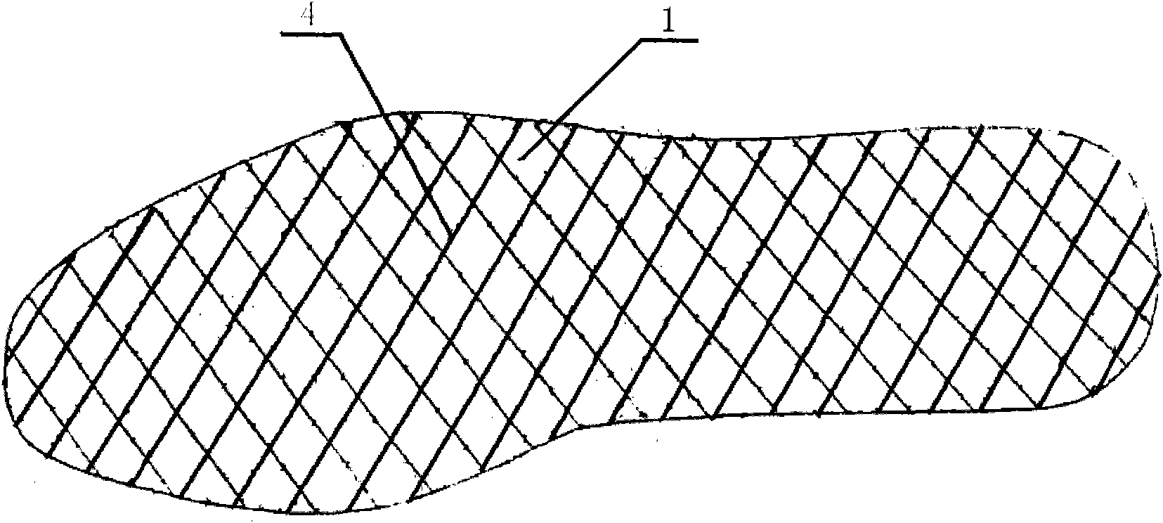 Antibacterial deodorizing insoles