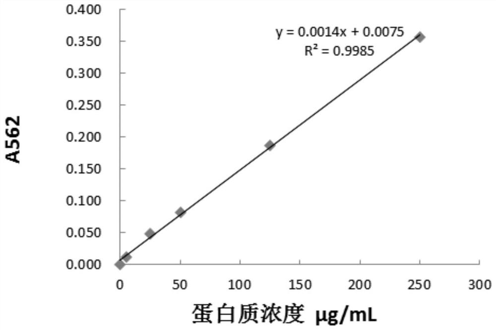 A high-efficiency extraction method for total protein of macadamia nut leaves