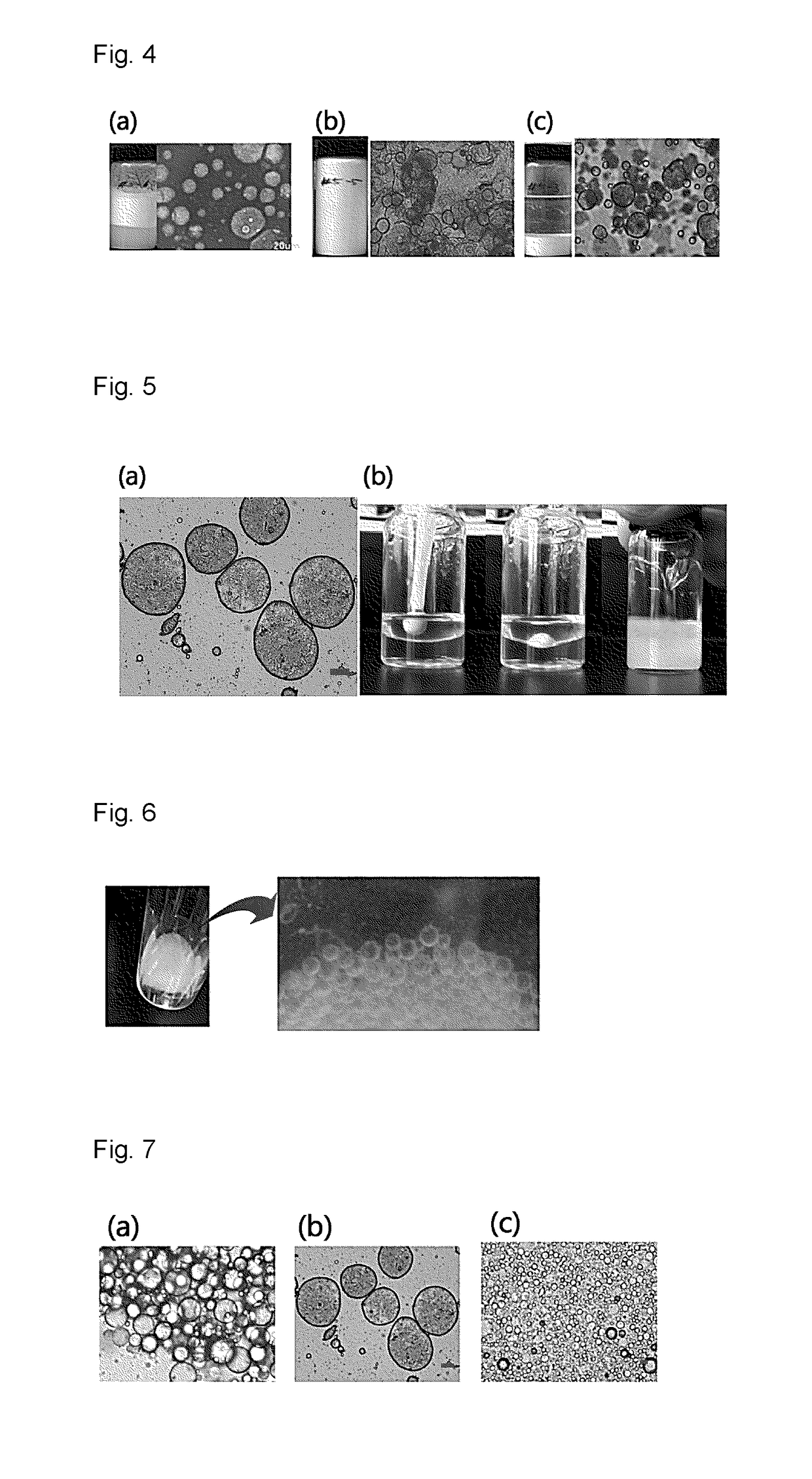 Cosmetic composition containing amphiphilic anisotropic powder and method for preparing same