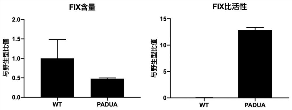 Recombinant adeno-associated virus vectors and methods for treating or preventing hemophilia B