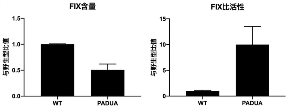 Recombinant adeno-associated virus vectors and methods for treating or preventing hemophilia B