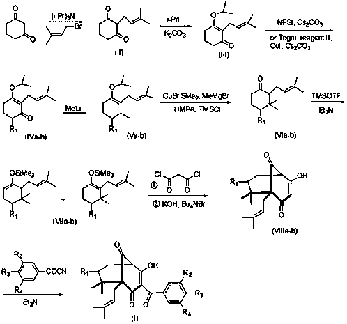 Garcinol derivative and application thereof