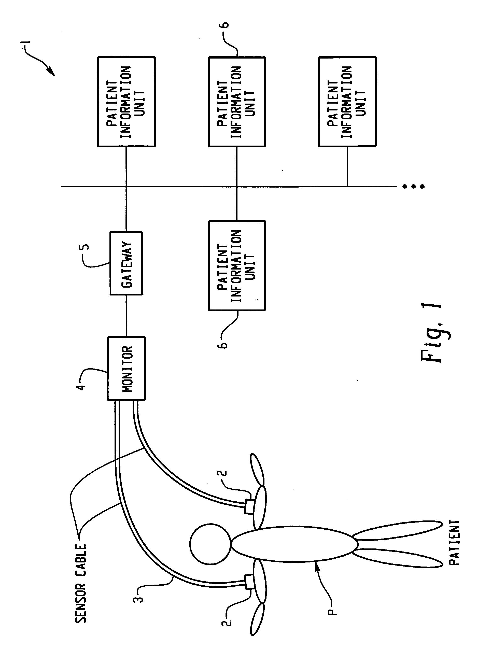 Patient information management apparatus and method