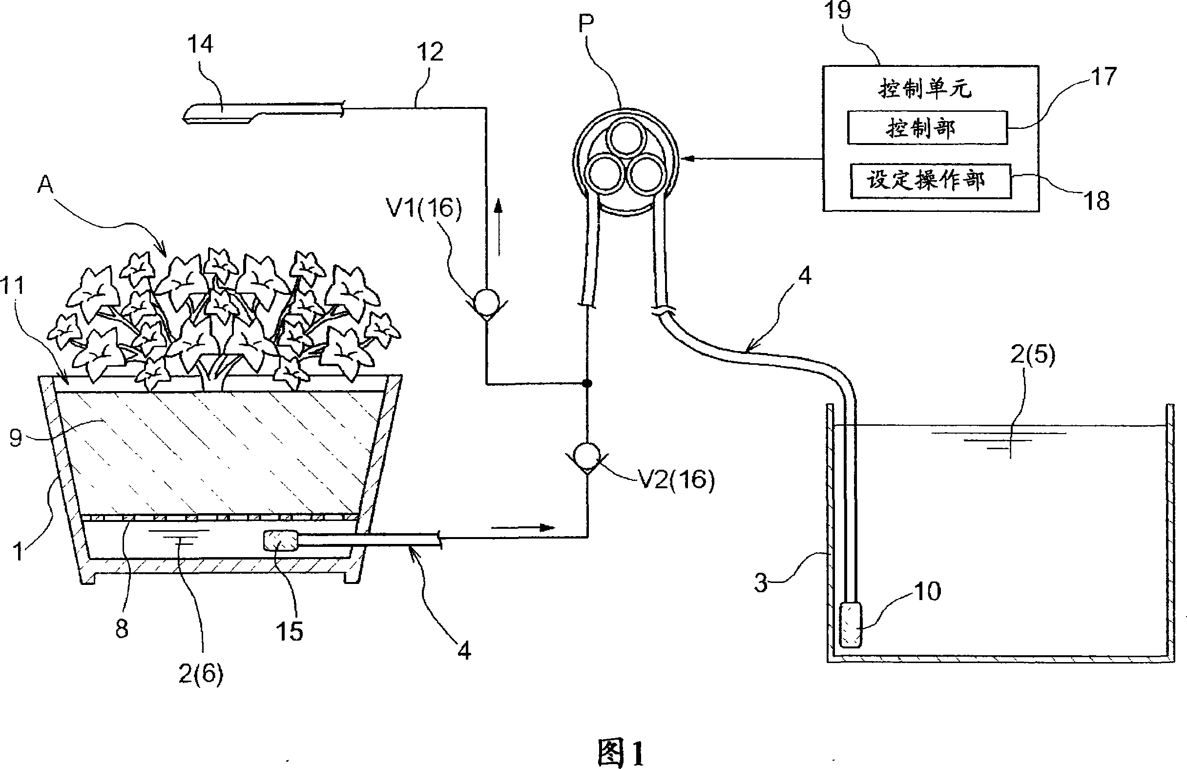 Plant culturing device