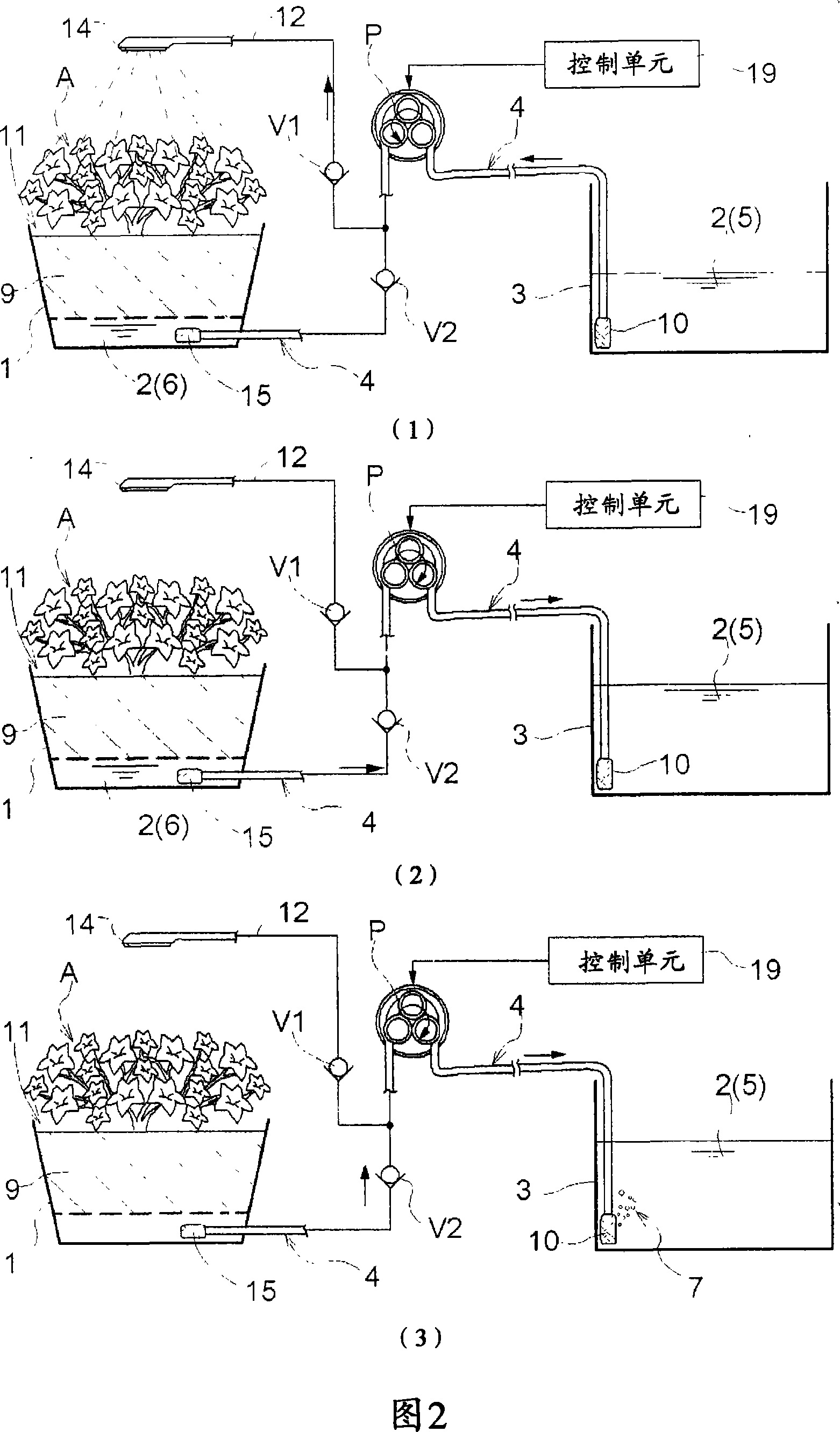 Plant culturing device