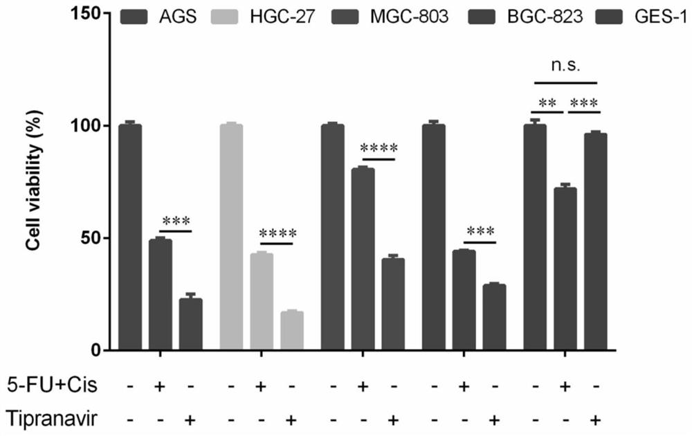 Use of tipranavir in the preparation of cancer therapeutic drugs that kill tumor stem cells and tumor cells