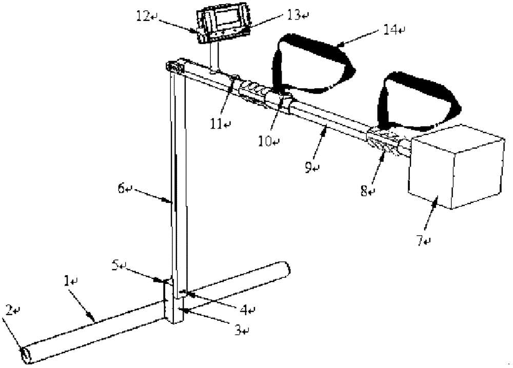 Handheld biomass measuring device and method