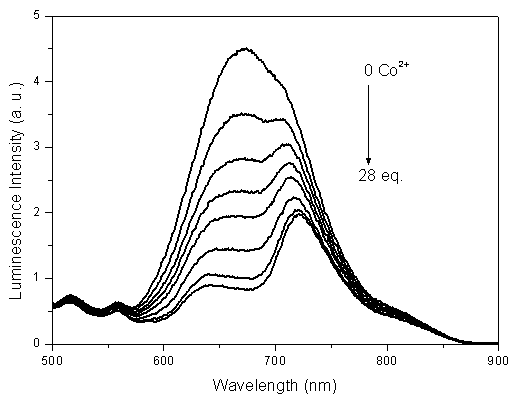 Preparation method of iridium complex-containing phosphorescence material and its application in cobalt ion detection