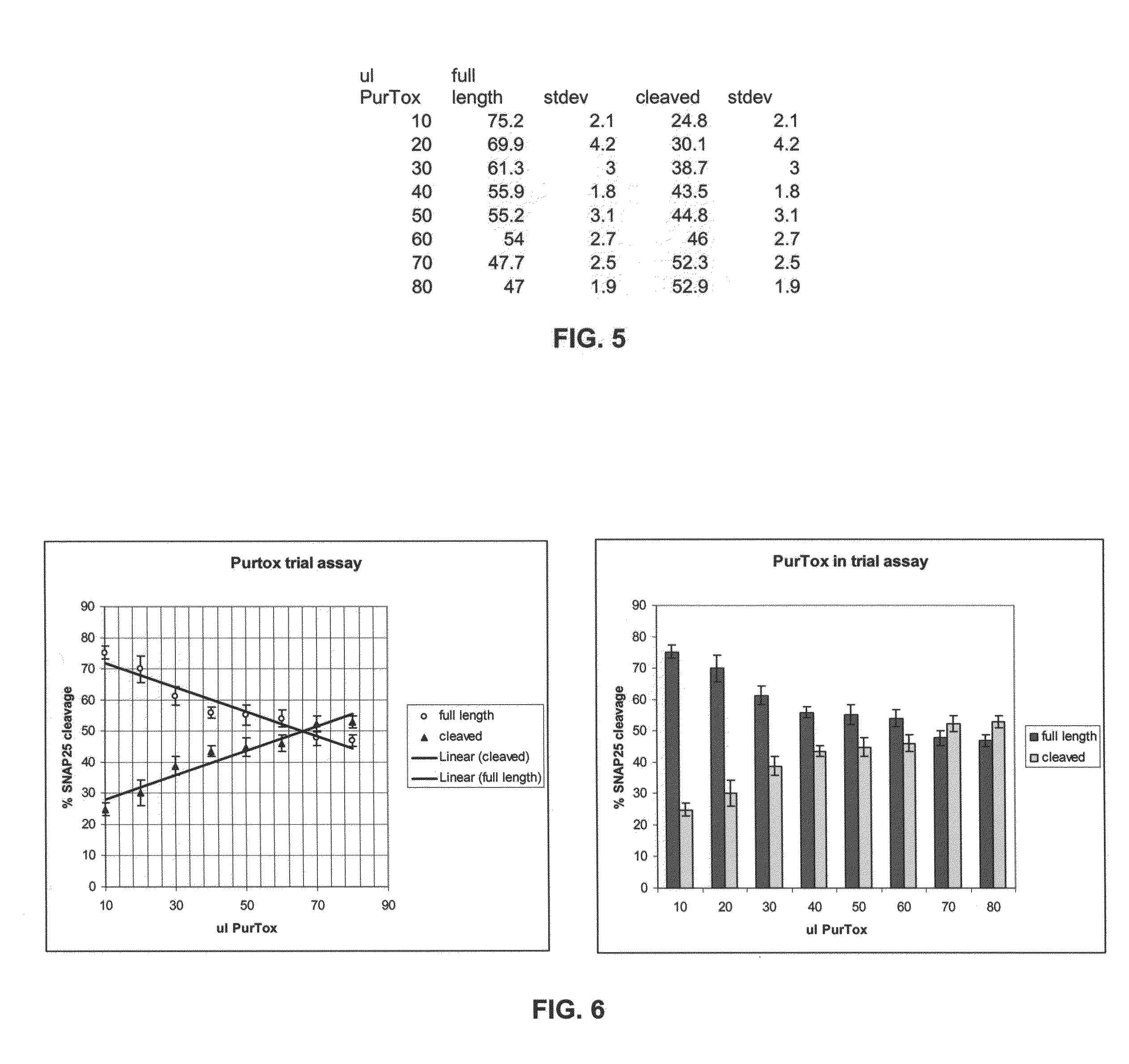 Method of detecting botulinum neurotoxin and antibodies that neutralize botulinum neurotoxin action