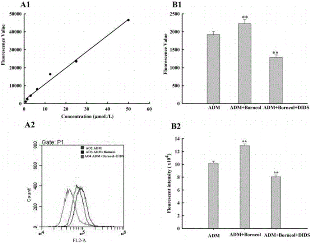 Application of borneol in promoting poorly differentiated nasopharyngeal cell to intake adriamycin through chloride channel mediation