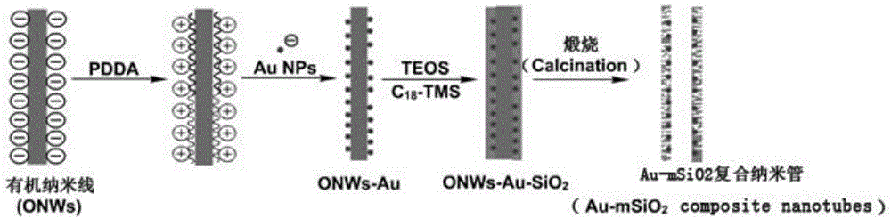 Nano gold-mesoporous silica composite nanotube, preparation and applications thereof