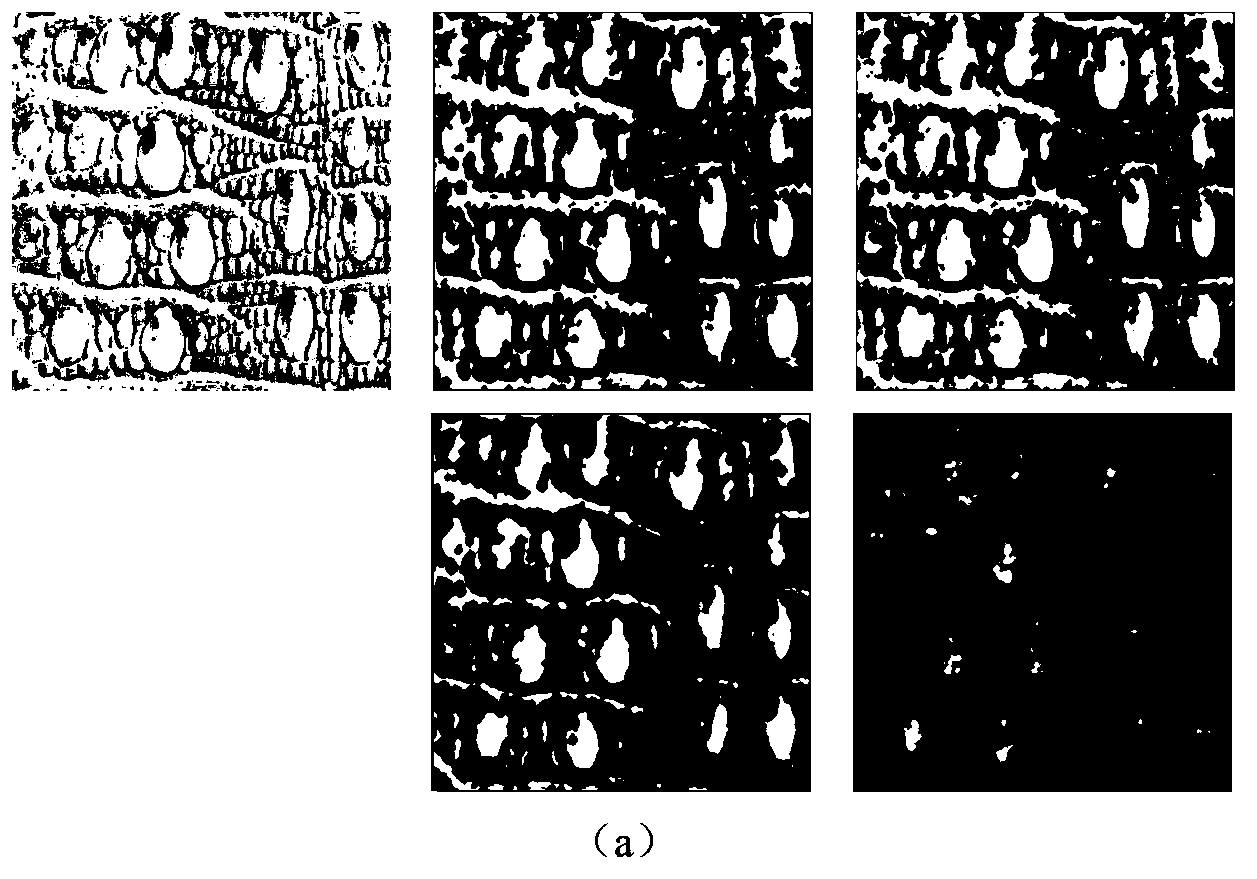 Method for extracting local textural roughness of image