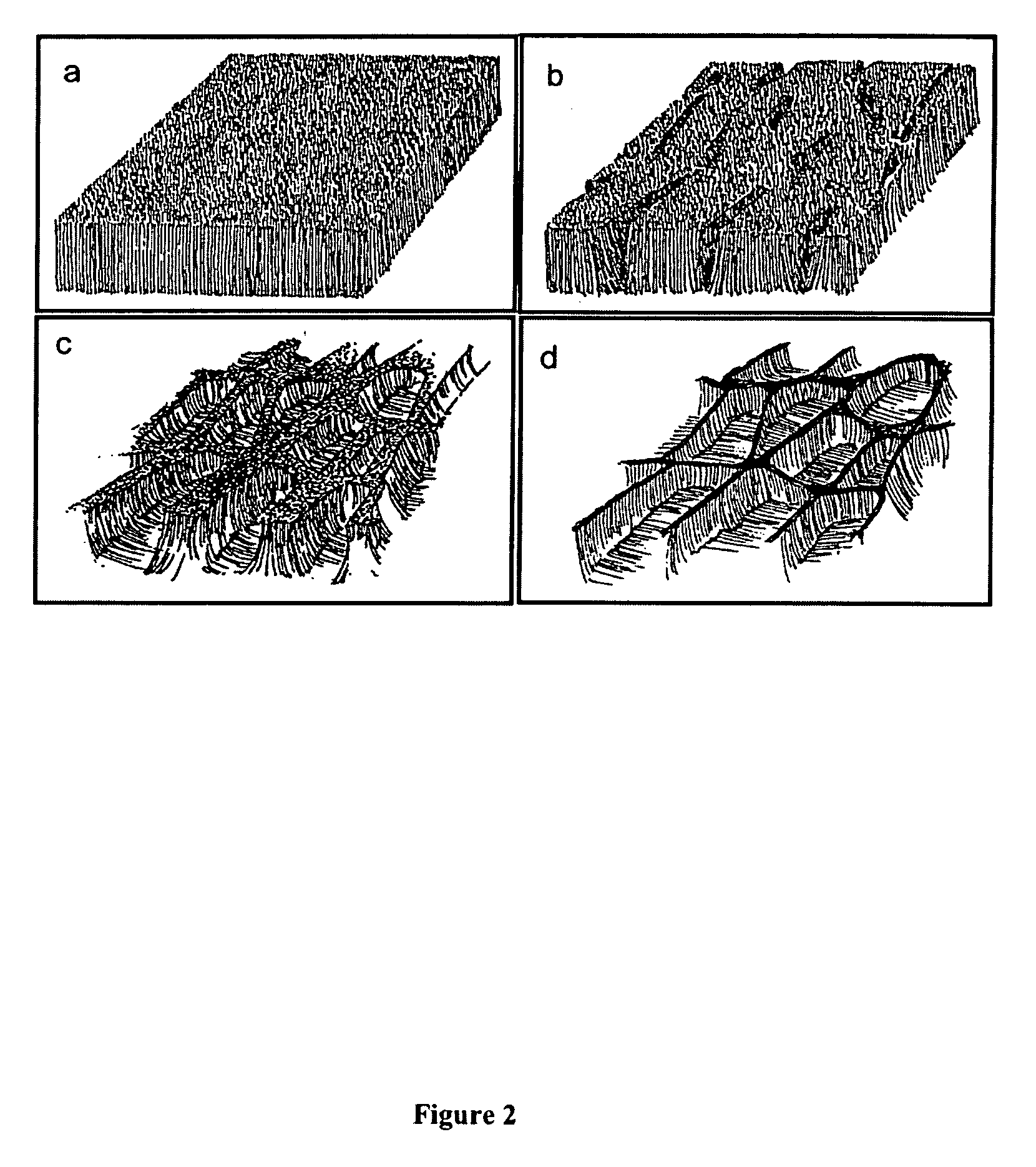 Carbon nanotube foam and method of making and using thereof