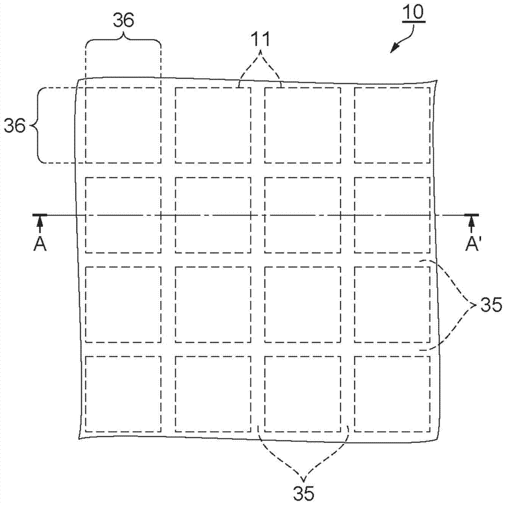 Electrophoretic apparatus, manufacturing method of electrophoretic apparatus, and electronic apparatus