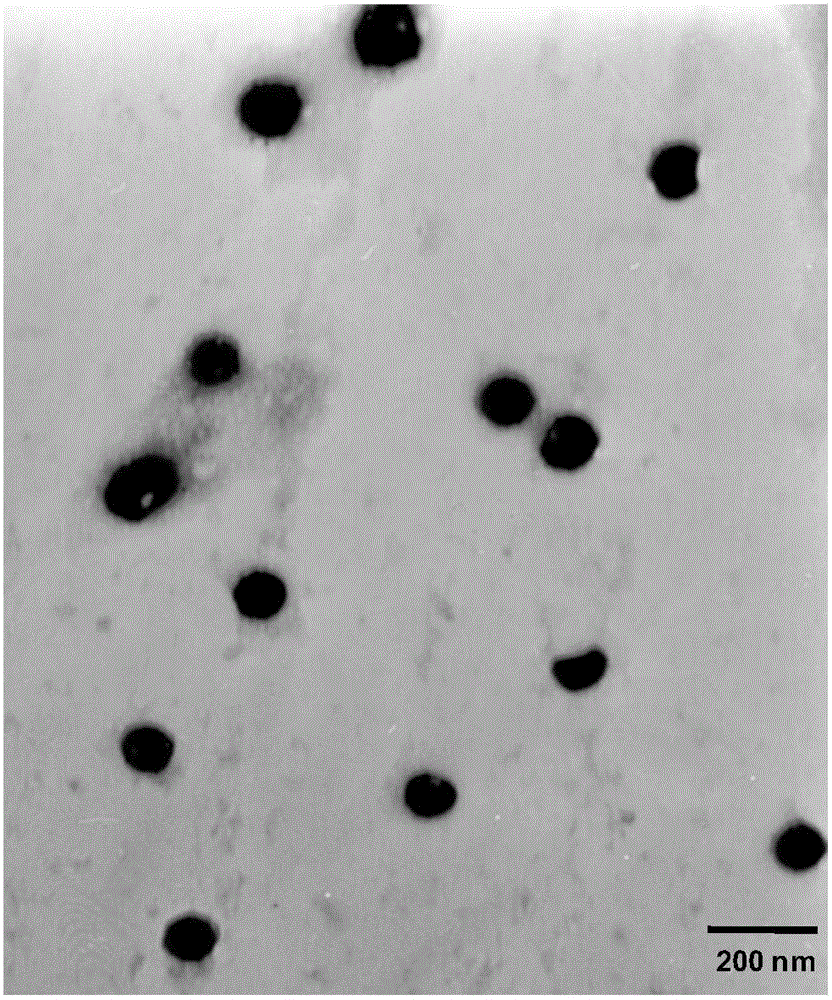 Oxaliplatin-and-irinotecan jointly loading lipid emulsion and preparing method thereof