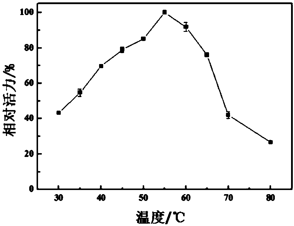 Paenibacillus chitin enzyme and application thereof