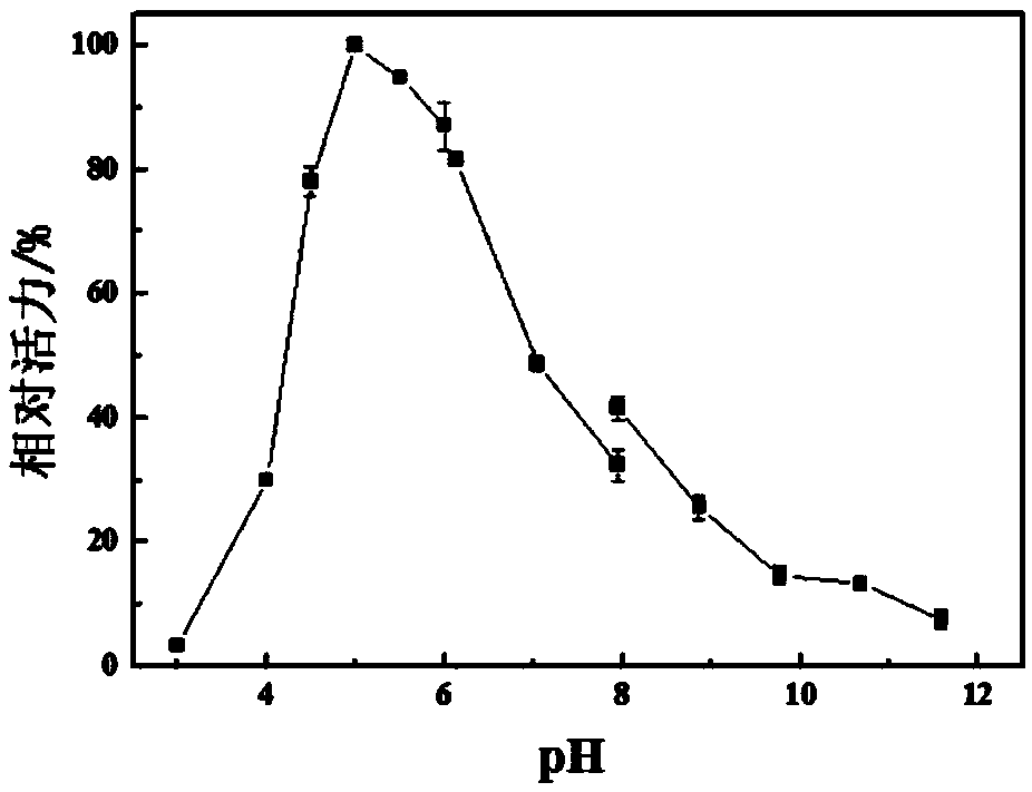 Paenibacillus chitin enzyme and application thereof