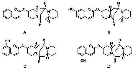 13-hydroxyl cytisine cinnamate ester compound having antitumor activity and preparation method thereof