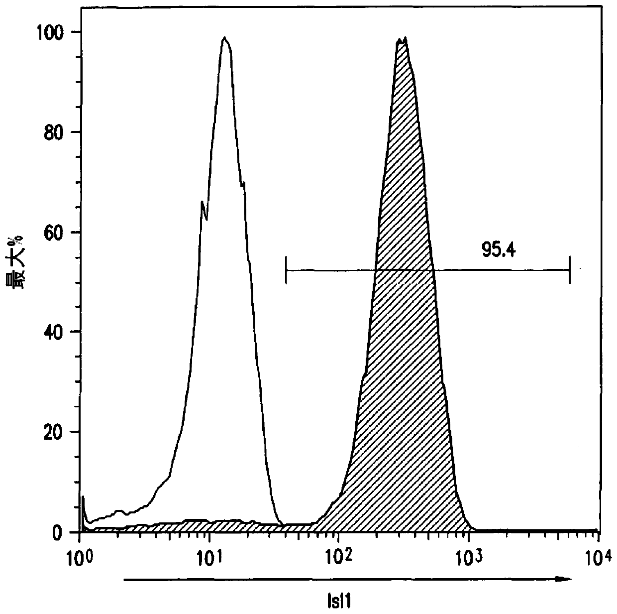 Use of neuropilin-1 (NRP1) as a cell surface marker for isolating human cardiac ventricular progenitor cells