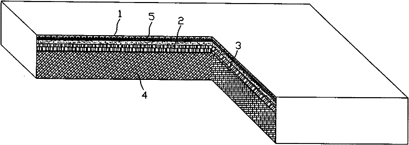 External wall body thermal insulation decorative board and preparation method thereof