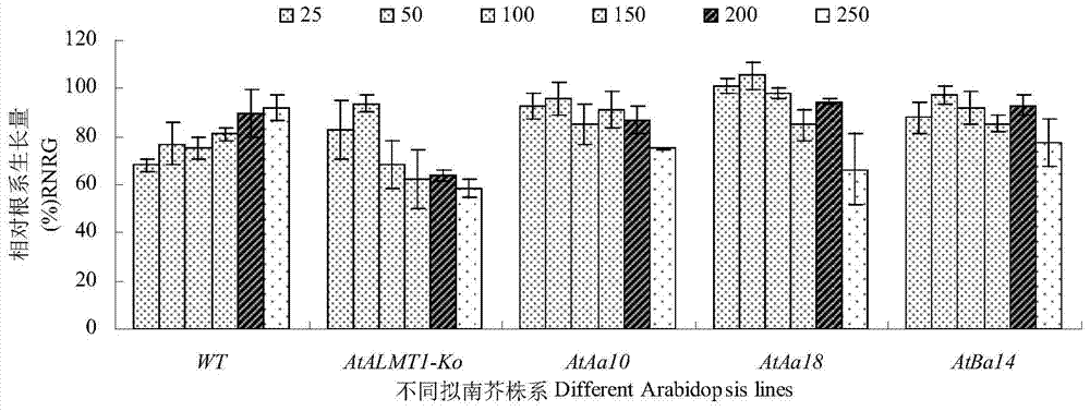Application of Peanut ahfrdl1 Gene in Improving Plant Resistance to Aluminum Toxic Stress