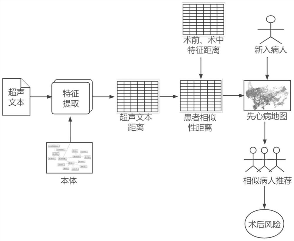 Congenital heart disease postoperative risk visual evaluation method based on patient similarity