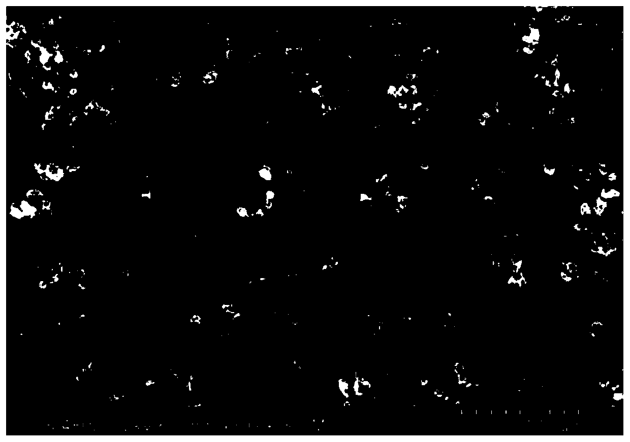 PEDOT: PSS/CMC composite binder and preparation method and application thereof