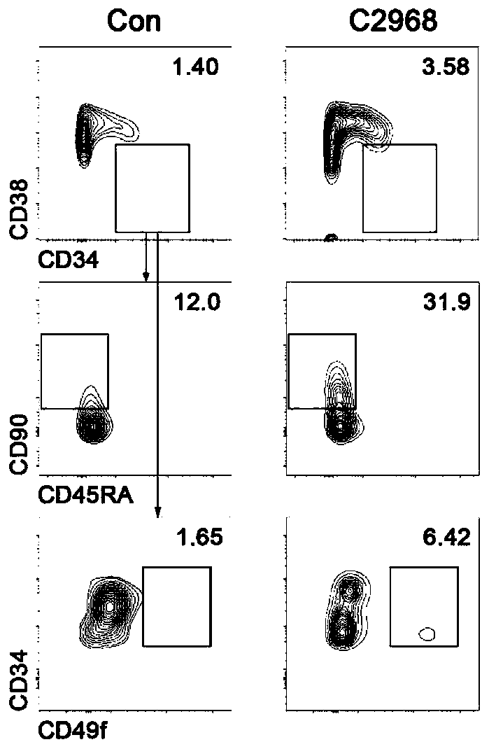 Application of chrysin in in-vitro expansion of human hematopoietic stem cells