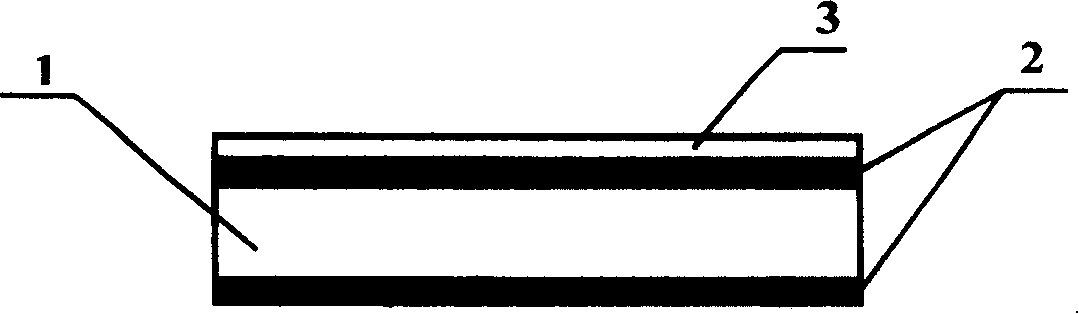 Epidermis needle and its preparing method