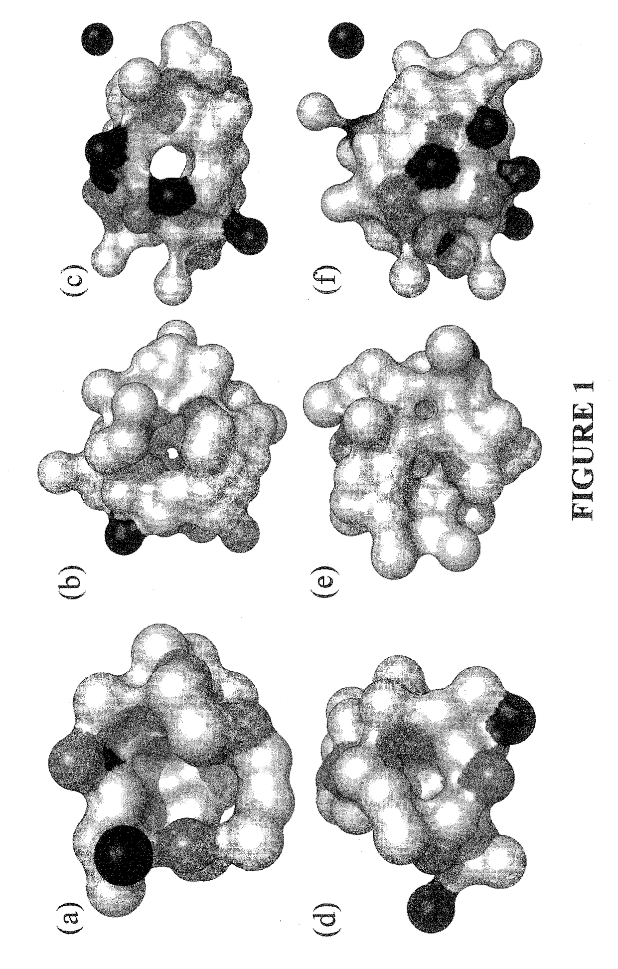 Methods and systems for identifying ligand-protein binding sites